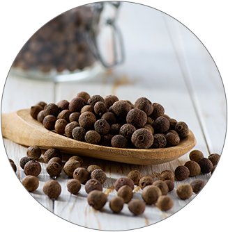 가볍게 시작하는 첫 다이어트